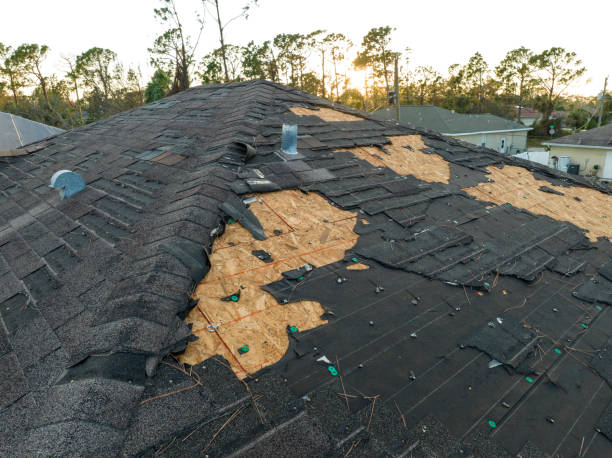 Best Gutter Replacement  in Alpine, CA