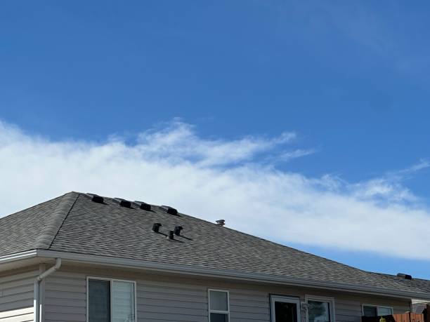 Trusted Alpine, CA Roofing Services Experts